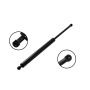 FCS Struts 86661 Tailgate Lift Support