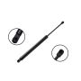 FCS Struts 86663 Liftgate Lift Support