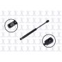 FCS Struts 86671 Trunk Lid Lift Support