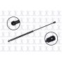 FCS Struts 86673 Hood Lift Support