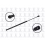 FCS Struts 86678 Back Glass Lift Support