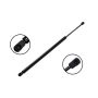 FCS Struts 86681 Liftgate Lift Support