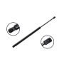 FCS Struts 86764 Liftgate Lift Support