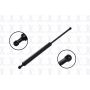 FCS Struts 86773 Liftgate Lift Support
