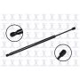 FCS Struts 86809 Liftgate Lift Support