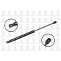 FCS Struts 86859 Liftgate Lift Support