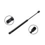 FCS Struts 86862 Hood Lift Support
