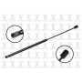 FCS Struts 86869 Back Glass Lift Support