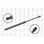FCS Struts 86883 Liftgate Lift Support
