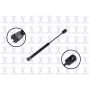 FCS Struts 86904 Storage Box Lid Lift Support