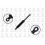 FCS Struts 86952 Deck Lid Lift Support