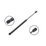 FCS Struts 87018 Hood Lift Support