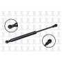 FCS Struts 87028 Hood Lift Support