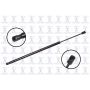 FCS Struts 87040 Liftgate Lift Support
