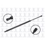 FCS Struts 87061 Liftgate Lift Support