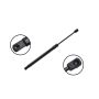 FCS Struts 87066 Tailgate Lift Support