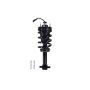 FCS Struts 91003 Suspension Strut and Coil Spring Assembly