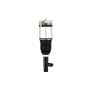 FCS Struts 92002 Electronic Air Suspension Strut Assembly