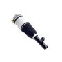 FCS Struts 92002 Electronic Air Suspension Strut Assembly