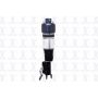 FCS Struts 92003 Electronic Air Suspension Strut Assembly