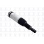 FCS Struts 92005 Electronic Air Suspension Strut Assembly