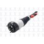 FCS Struts 92020 Electronic Air Suspension Strut Assembly