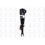 FCS Struts 92022 Electronic Air Suspension Strut Assembly
