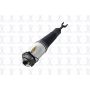 FCS Struts 92036 Electronic Air Suspension Strut Assembly
