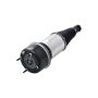 FCS Struts 92039 Electronic Air Suspension Strut Assembly