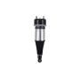 FCS Struts 92039 Electronic Air Suspension Strut Assembly