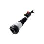 FCS Struts 92043 Air Suspension Strut Assembly