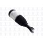 FCS Struts 93001 Non-Electronic Air Suspension Strut Assembly