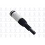 FCS Struts 93007 Non-Electronic Air Suspension Strut Assembly