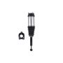 FCS Struts 93019 Air Suspension Strut Assembly