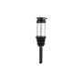 FCS Struts 93025 Air Suspension Strut Assembly
