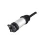 FCS Struts 93025 Air Suspension Strut Assembly