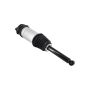 FCS Struts 93025 Air Suspension Strut Assembly