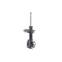 FCS Struts 94003 Electronic Strut