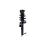 FCS Struts 94005 Suspension Strut and Coil Spring Assembly
