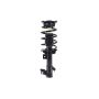 FCS Struts 94017 Suspension Strut and Coil Spring Assembly