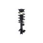 FCS Struts 94017 Suspension Strut and Coil Spring Assembly