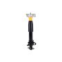 FCS Struts 94020 Electronic Shock Absorber Assembly
