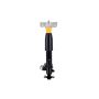 FCS Struts 94020 Electronic Shock Absorber Assembly