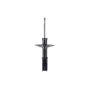 FCS Struts 94024 Electronic Strut