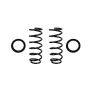 FCS Struts 95011 Air Spring to Coil Spring Conversion Kit
