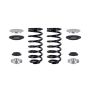 FCS Struts 95027 Air Spring to Coil Spring Conversion Kit
