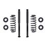 FCS Struts 95074 Air Spring to Coil Spring Conversion Kit
