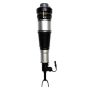 FCS Struts 99005 Electronic Air Suspension Strut Assembly