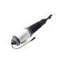 FCS Struts 99006 Electronic Air Suspension Strut Assembly