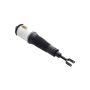 FCS Struts 99007 Electronic Air Suspension Strut Assembly